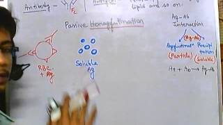 Hemagglutination assay [upl. by Stearn]