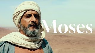 Moses and the story of Exodus [upl. by Fricke303]