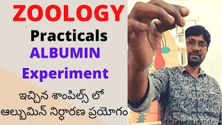 Albumin Test Experiment  ఇచ్చిన శాంపిల్స్ లో ఆల్బుమిన్ నిర్ధారణ ప్రయోగం  Zoology Practical [upl. by Klara193]