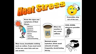 Heat Stress  Beat the Heat  Stay Safe from Heat Stress [upl. by Sifan]