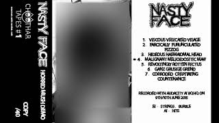 Nasty Face  Horrid Mush demo CS FULL 2015  Goregrind [upl. by Neerod]