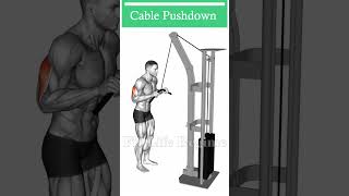 Maximize Your Tricep Workout with these Cable Exercises [upl. by Zurheide829]