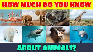 How Much Do You Know About Animals [upl. by Ninazan341]