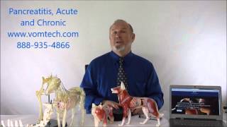 Pancreatitis Acute and Chronic in the Dog and Cat [upl. by Richel]