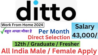 Ditto Work From Home Jobs  Work From Home Jobs 2024  Online Jobs at Home in Mobile  Freshers [upl. by Arakat]