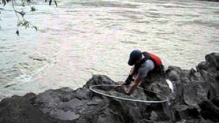 Dipnetting in Chitina Alaska 2010 [upl. by Meehaf299]