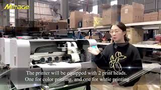 MimageA3DTF Production Line Mimage DTF printerfactory Locor Epsonxp600 a3dtf [upl. by Norling]