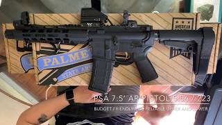 Budget AR15 Pistol 75”  PSA First Look in 2019 [upl. by Yezdnil]