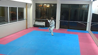 Bassai Dai Shotokai Egami Ryu Karate Union [upl. by Markiv942]