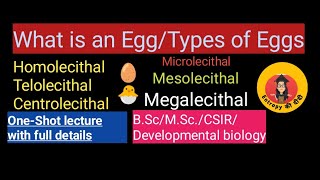 EggTypes of Egg YolkDevelopmental BiologyBScMscNEETCSIR yolk egg education csirnet [upl. by Asiole749]