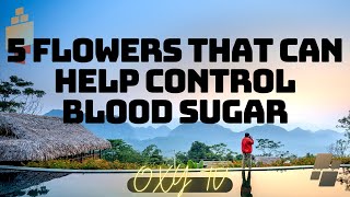 5 Flowers That Can Help Control Blood Sugar [upl. by Erialc]