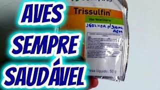 dica Trissulfin como prevenir coriza gogo espirros diarreias peito seco em pintinho frango galinhas [upl. by Ecnedac]