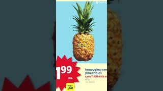 LiDL Grocery Store Deals This Week [upl. by Digdirb485]