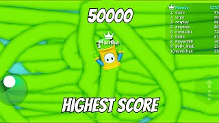 Snakeio 50000 Score Epic Snake io Gameplay [upl. by Cottle]