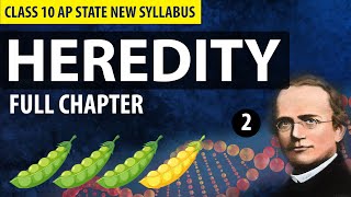 HEREDITY CLASS 10 FULL CHAPTER Explanation in Telugu  CBSE amp AP State New Syllabus [upl. by Harak]