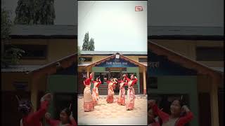 Bihu buli Assamese 2024 l New Assamese Bihu Song video shrots [upl. by Hubert513]