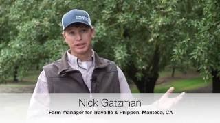 Nick Gatzman on the First Stop for Honey Bees  California Almonds [upl. by Inaj]