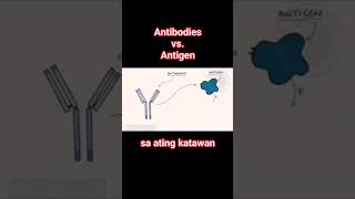 Antibodies laban sa Antigens sa ating katawan antibodies antigentest hepatitisb [upl. by Ellerrad88]