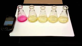 Hydrolysis of tButylChloride Kinetics Experiment 5 SN1 Reaction [upl. by Weinshienk]