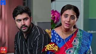 Gowramma Serial Promo  6th October 2021  Gowramma Telugu Serial  Mallemalatv [upl. by Schreibman]