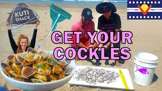 How to go Cockling at Goolwa Beach amp the Kuti Shack Restaurant [upl. by Eiwoh597]