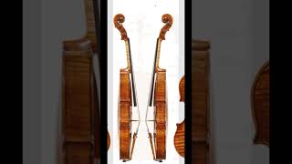 Carlo Bergonzi ‘Salabue Martzy’ violin 1733 [upl. by Nylirad130]