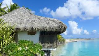 Discover Paradise Pension Relais Royal Tikehau A Hidden Gem in Tuamotu [upl. by Alberik]