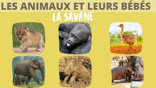 Les animaux de la savane et leurs bébés [upl. by Agneta69]