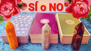 🔴 TAROT SI O NO ✅ TAROT interactivo HOY 💕 ELIGE HASTA 3 OPCIONES PARA 3 PREGUNTAS 🌞 Tarot reciente [upl. by Akemahc]