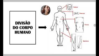 Anatomia em 1 minuto Planos Anatômicos  Anatomia e etc [upl. by Laurentium]