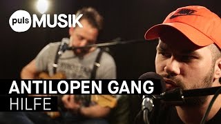 Antilopen Gang  Hilfe PULS Live Session [upl. by Anilag814]