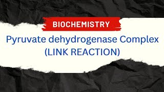 Pyruvate dehydrogenase complex Link reaction Biochemistry [upl. by Pournaras252]