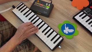 HOHNER vintage Melodica Piano 36 🧡 DemoTest 2 Songs  chromatic scale  Drums by Korg KR mini [upl. by Naihs794]