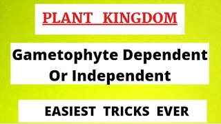 Gametophytes Dependent Or Independent Tricks  Plant Kingdom [upl. by Ellimac]