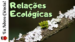 Relações ou Interações Ecológicas Intra e Interespecíficas [upl. by Neellek]