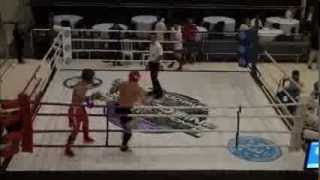 WAKO K1Low Kick World Championships 2013 Sao Paulo Brazil CLASSIC INTERNATIONAL Kickboxing [upl. by Ai]