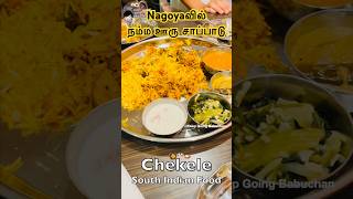 Chekele South Indian Food in Nagoya Japan [upl. by Stone]