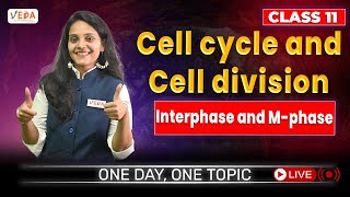 Interphase and Mphase  Cell cycle and Cell division  class 11  Biology  One Day One Topic [upl. by Joses]