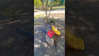 raking leafs piles dirt wheelbarrow leafblower bulldozer cleanout [upl. by Justine]