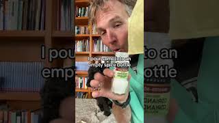 Simple veterinary hack for Natural Flea Control [upl. by Paymar]