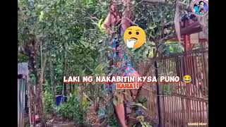 A Day at the Bukid  Picking Fresh Suha Fun Picking Day 😂  Philippines Countryside Camiguin [upl. by Mobley]