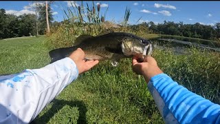 Catching bass on JIGS and TIKTOK shop baits [upl. by Asirram]