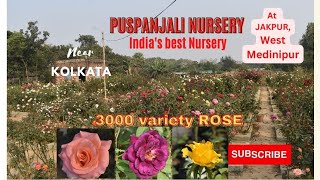 Puspanjali Nursery  jakpur  Puspanjali Nursery  India biggest rose nursery  Near kolkata [upl. by Nylesoy]