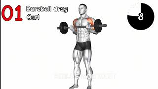 15 Best Exercise For Wider Biceps [upl. by Kliber504]