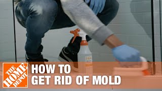 How to Get Rid of Mold  The Home Depot [upl. by Ardnuaet]