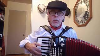 Brucia La Terra  Godfather love song  FisarmonicaVoce  AccordionVoice  Cover by Biagio Farina [upl. by Gaile]