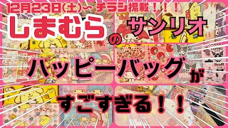 【SANRIO💖】売り切れ必至！しまむらのサンリオハッピーバッグがお得で可愛すぎる！タオル1000円と2000円買ってきた✨収納ボックスも3つで1000円！これはもう福袋なの！？sanrio [upl. by Yhprum5]