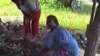 Tuvalu Wedding  Food Preparation 3 of 5 [upl. by Burnside]