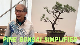 Pine Bonsai Simplified [upl. by Enelia]