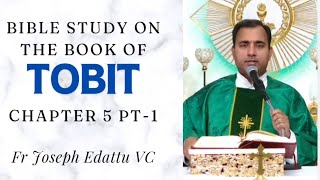 Bible Study  Book of Tobit Chapter 5 Part 1  Fr Joseph Edattu VC [upl. by Annaerdna]